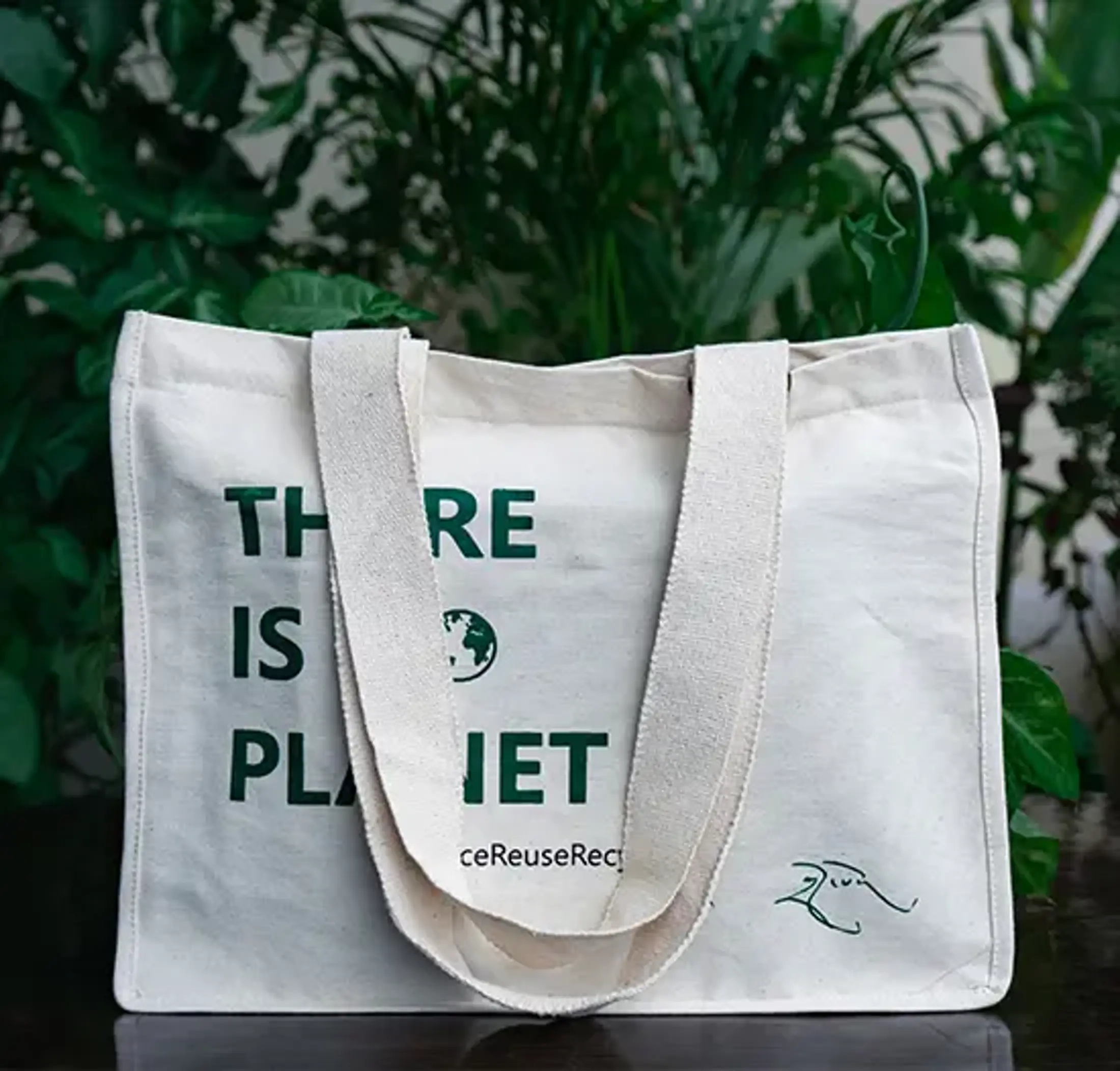 There is no planet b-Tote